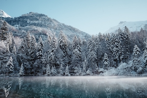 снежный лес в горах, озеро