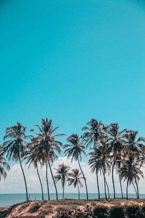 остров в бирюзовом море, белый песок и пальмы