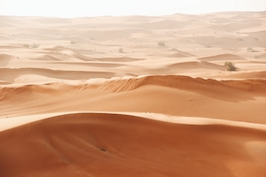 Дюны Дубайской пустыни