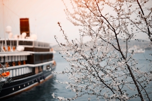 Цветущие деревья на фоне корабля 