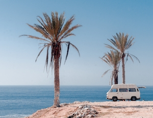 Деревья пальм и один фургон на фоне морского горизонта 