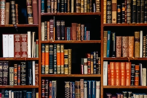 Старый книжный магазин из города Бильбао, полки с книгами в библиотеке, стиль Гарри Поттера 