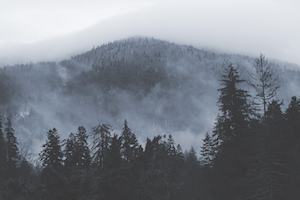 лесные горы и небо, туман, облака 