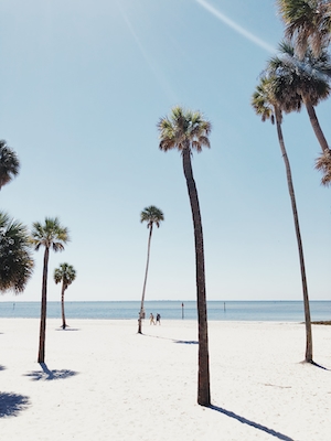 пальмы на пляже с белым песком, прибрежная полоса 
