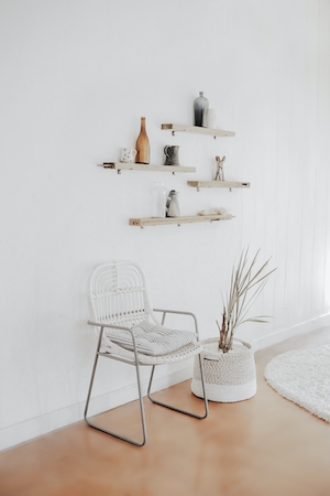 Угол, интерьер, декоративное домашнее растение и стул 