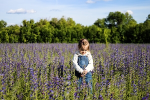 Девочка в цветущем поле