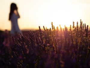 Фотосессия девушки в лавандовом поле на закате 