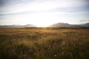 поле во время заката, панорама 