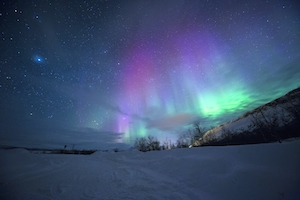 Удивительное световое шоу, многоцветное полярное сияние, северное сияние над лесом 