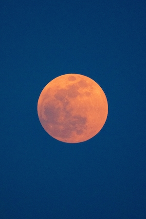 полная луна оранжевого цвета на небе 