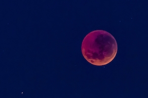 полная луна оранжевого цвета на фиолетовом небе 