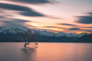 озеро и горы, одинокое дерево 