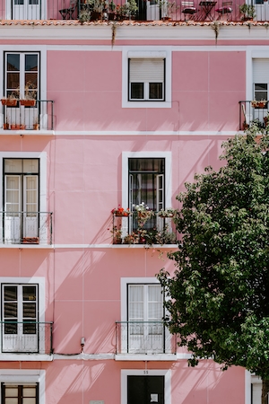 Окна розового дома с цветущими растениями 