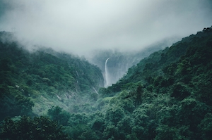 туманный вид лесной долины, водопад внутри, низкие облака, пасмурная погода 