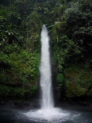 отвесный водопад посреди высоких отвесных скал, бассейн, водопад в окружении зеленых растений