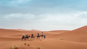 песчаная дюна, пески в пустыне, пейзаж в пустыне, караван верблюдов 