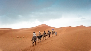 верблюды в пустыне, песчаные дюны, барханы