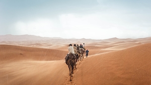 верблюды в пустыне, песчаные дюны, барханы