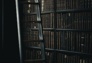 Библиотека Тринити-колледжа, полки с книгами в библиотеке, стиль Гарри Поттера