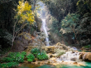 водопад в окружении зеленых деревьев, скалы 