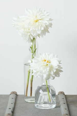 стеклянные вазы, цветочный натюрморт, фотография с нейтральной цветовой палитрой.