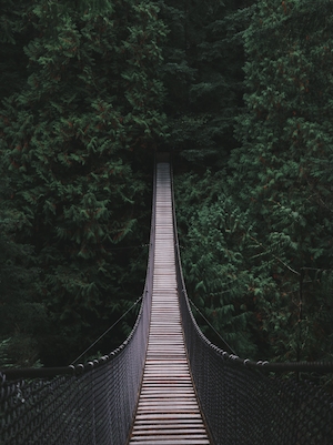 Мост в Линн-Каньоне, Северный Ванкувер