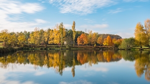 Осенний лес у озера, отражение леса в воде озера, озеро во время заката 