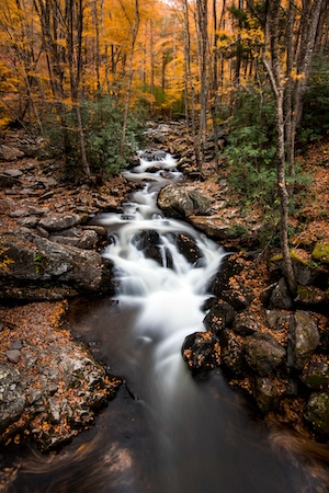 водопад, каскадная река в осеннем лесу 