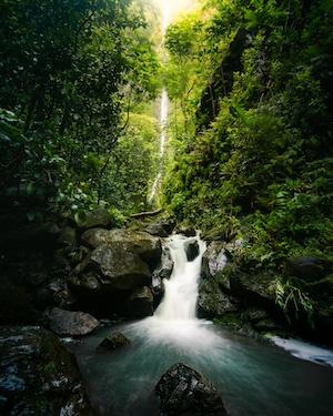 Глубоко в долине на Гавайях спрятан красивый 500-футовый водопад, водопад в лесу, поток водопада в лесу, большие скалы