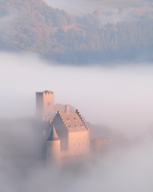 Замок в тумане с видом на лес