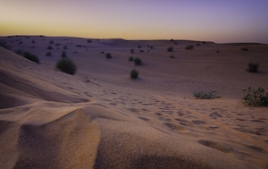 Снимок сделан во время сафари по пустыне в Дубае, Объединённые Арабские Эмираты, песчаная дюна, пески в пустыне, пейзаж в пустыне