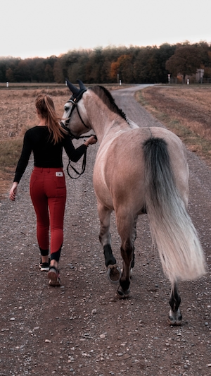 девушка ведет коня 