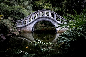 Изогнутый мост через реку в окружении зеленых растений, отражение моста в воде