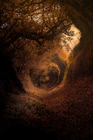 туннель в осеннем лесу