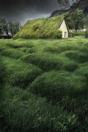зеленое неоднородное поле, крыша дома из зеленых растений 