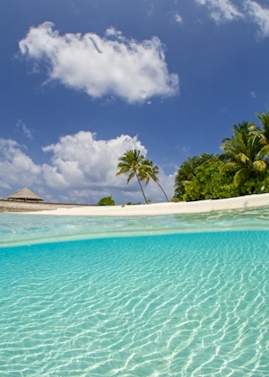 остров в бирюзовом море, белый песок и пальмы 