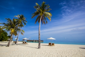 песчаный пляж, море, небо, лежаки с зонтиками и зеленые пальмы 