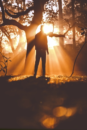человек стоит в лесу на закате 