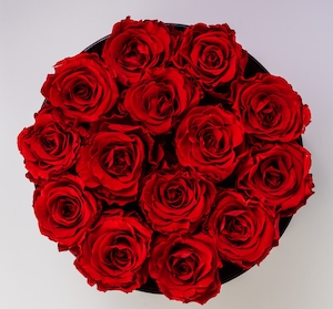 Букет красных роз, крупный план 