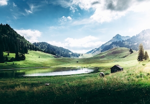 живописное озеро в окружении гор, коровы пасутся на поле 