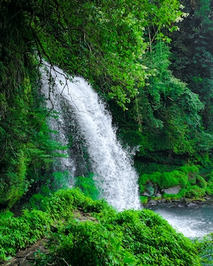 Секретный водопад, водопад в окружении зеленых растений