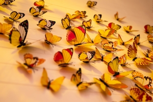 Настенные украшения с разноцветными бабочками