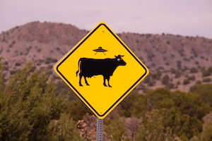 желтый знак, коровы и НЛО 