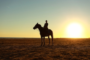 силуэт человека, сидящего на коне, на фоне заходящего солнца 