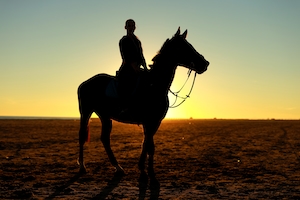силуэт коня с наездником на фоне заката 