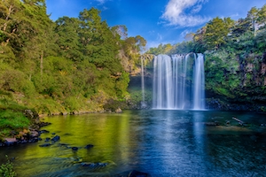 Рейнбоу Фоллс, Керикери, Новая Зеландия, водопад в окружении зеленых растений