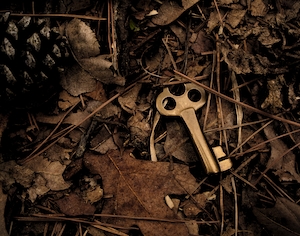 Старый медный ключ, оброненный в лесу.