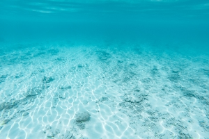 подводный мир, кораллы, белое песчаное дно 