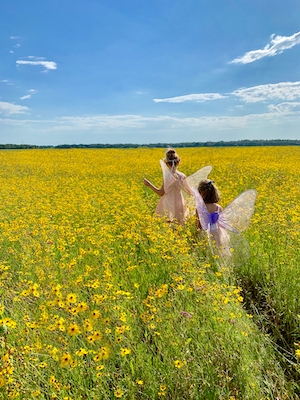 цветущее желтое поле под голубым небом, девочки в костюмах фей бегут по полю 