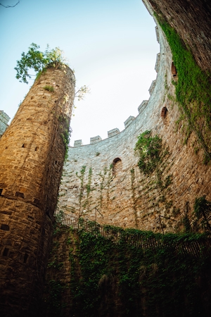 Старинная стена башни изнутри, вид снизу, обросла растениями 